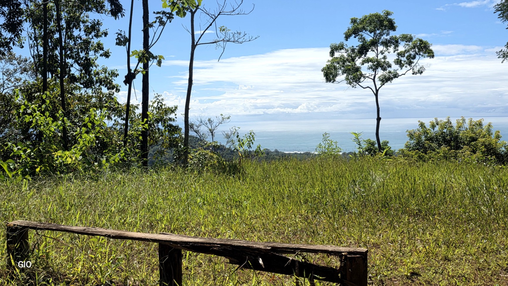 Unique Property with Waterfalls & Wildlife 🌴🐒🌊