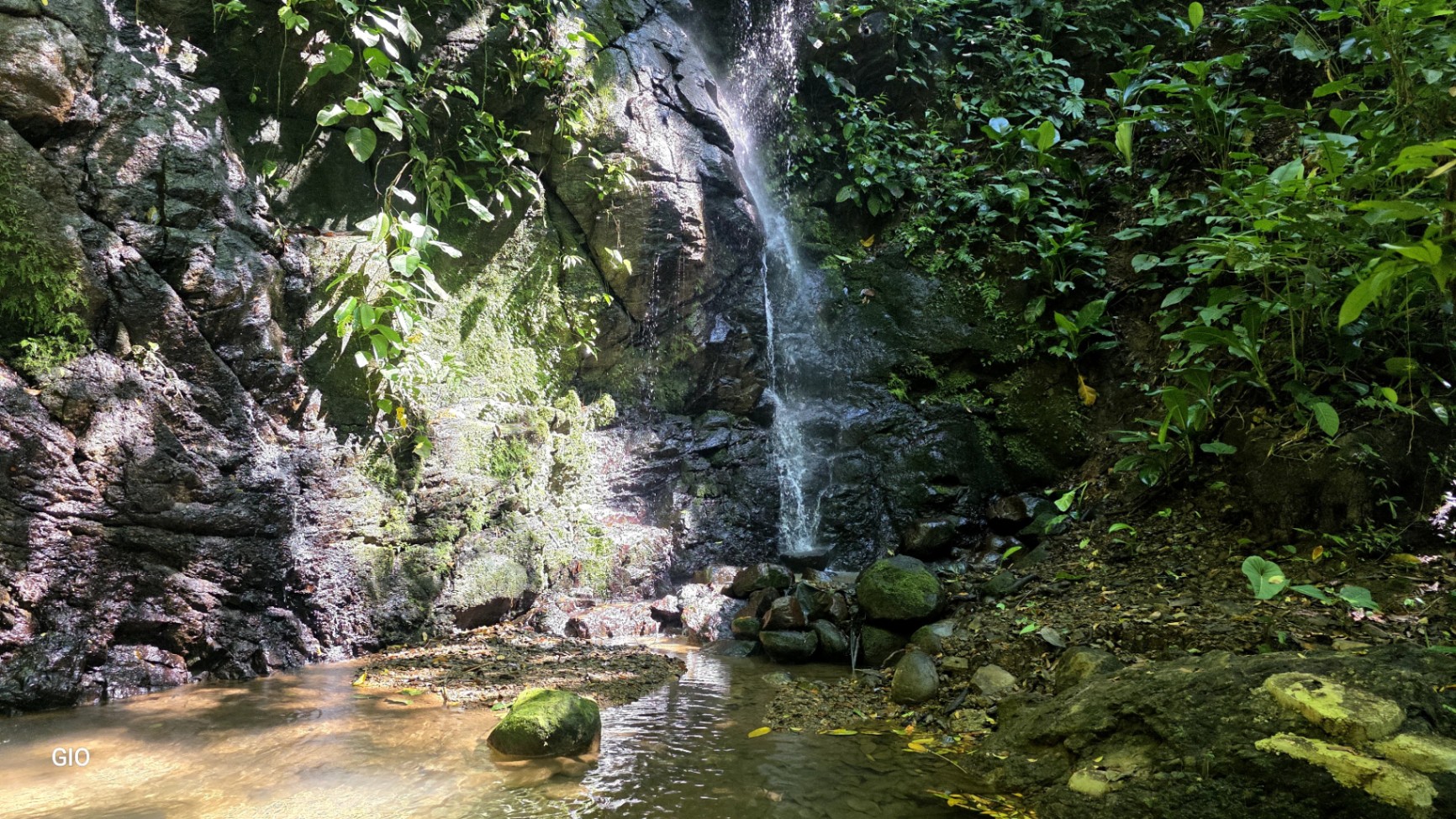 Unique Property with Waterfalls & Wildlife 🌴🐒🌊