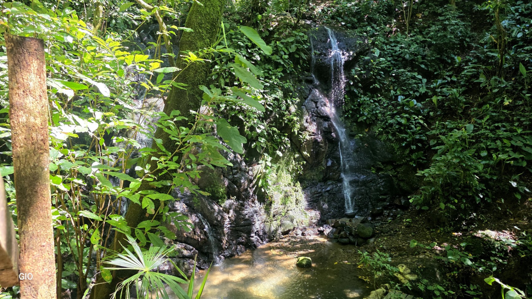 Unique Property with Waterfalls & Wildlife 🌴🐒🌊