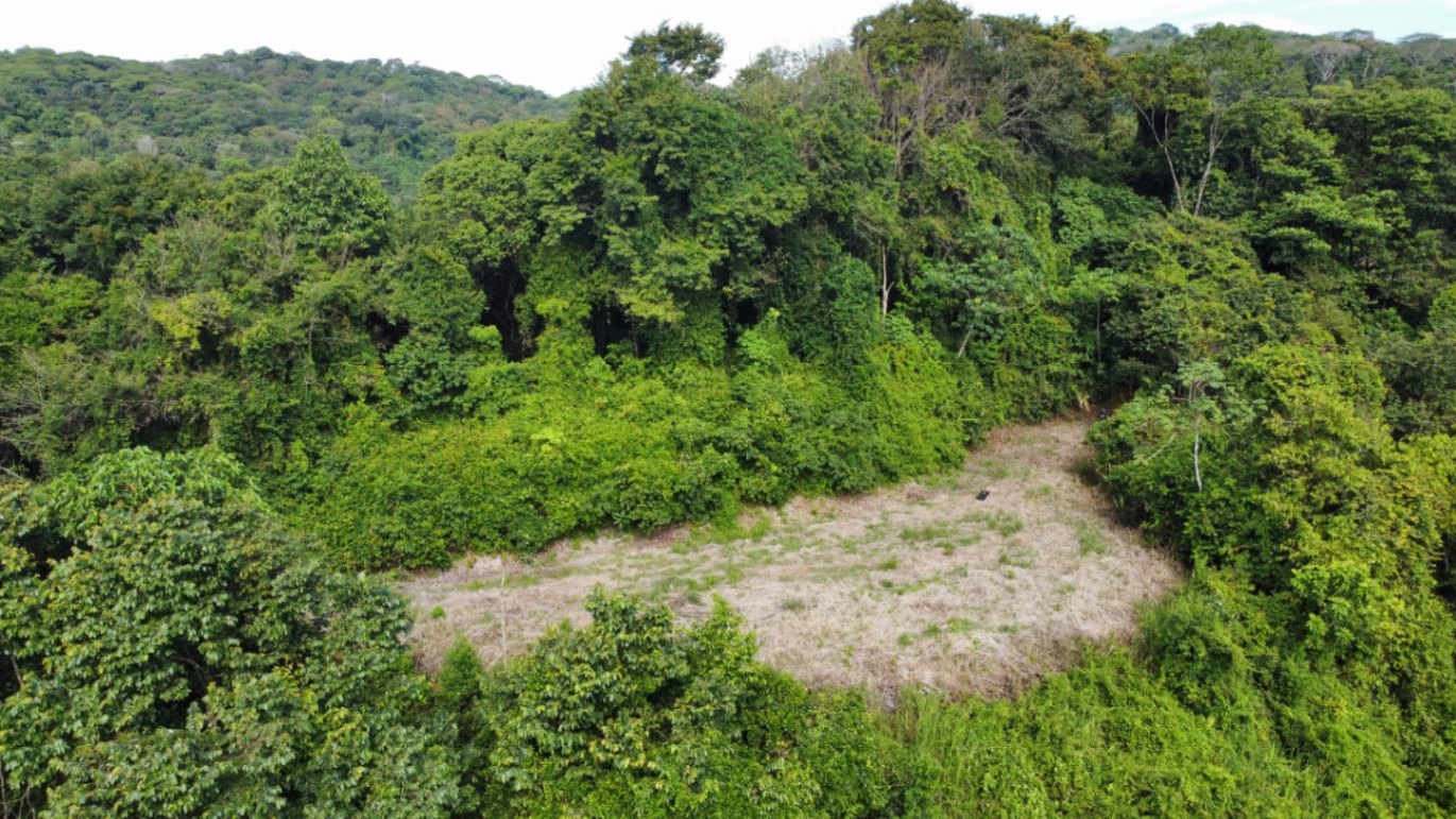 Prime 4.4-Acre Property Near the Pacific Coast – Endless Potential Awaits