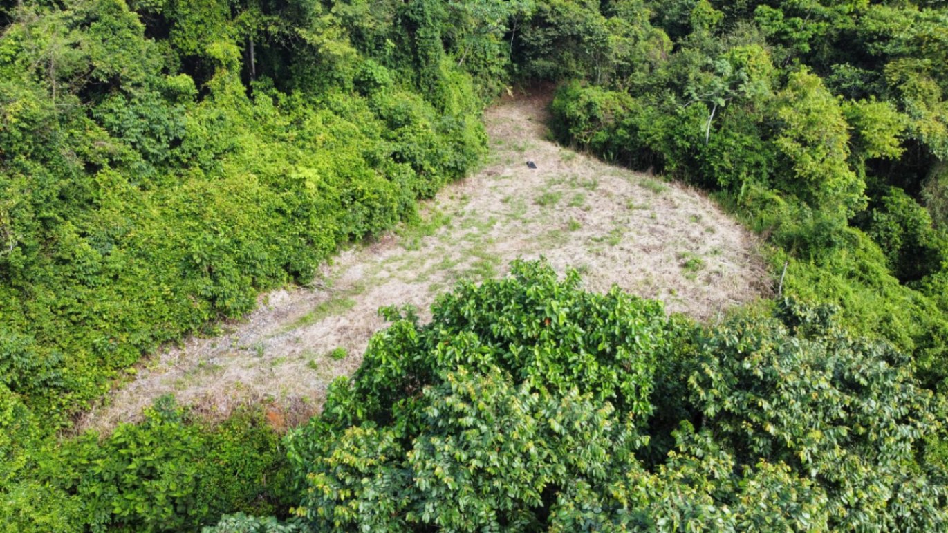 Prime 4.4-Acre Property Near the Pacific Coast – Endless Potential Awaits