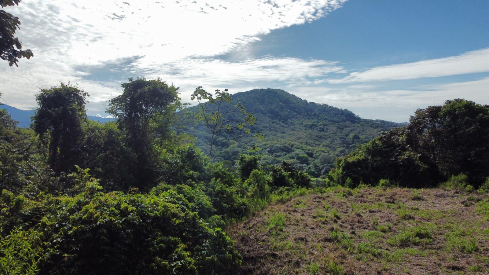 Prime 4.4-Acre Property Near the Pacific Coast – Endless Potential Awaits