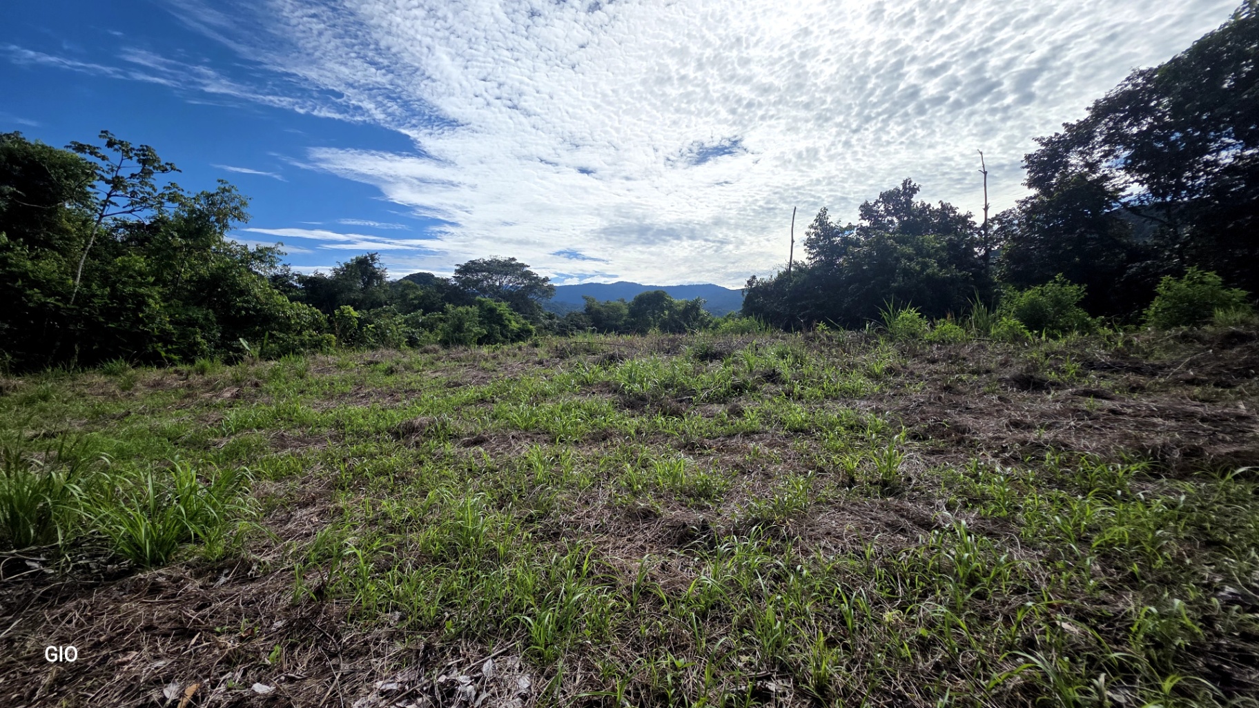 Prime 4.4-Acre Property Near the Pacific Coast – Endless Potential Awaits