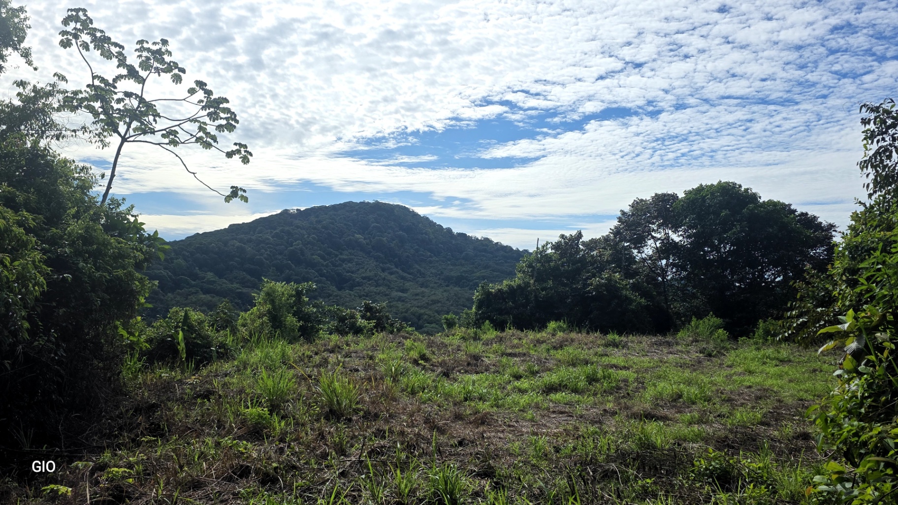 Prime 4.4-Acre Property Near the Pacific Coast – Endless Potential Awaits