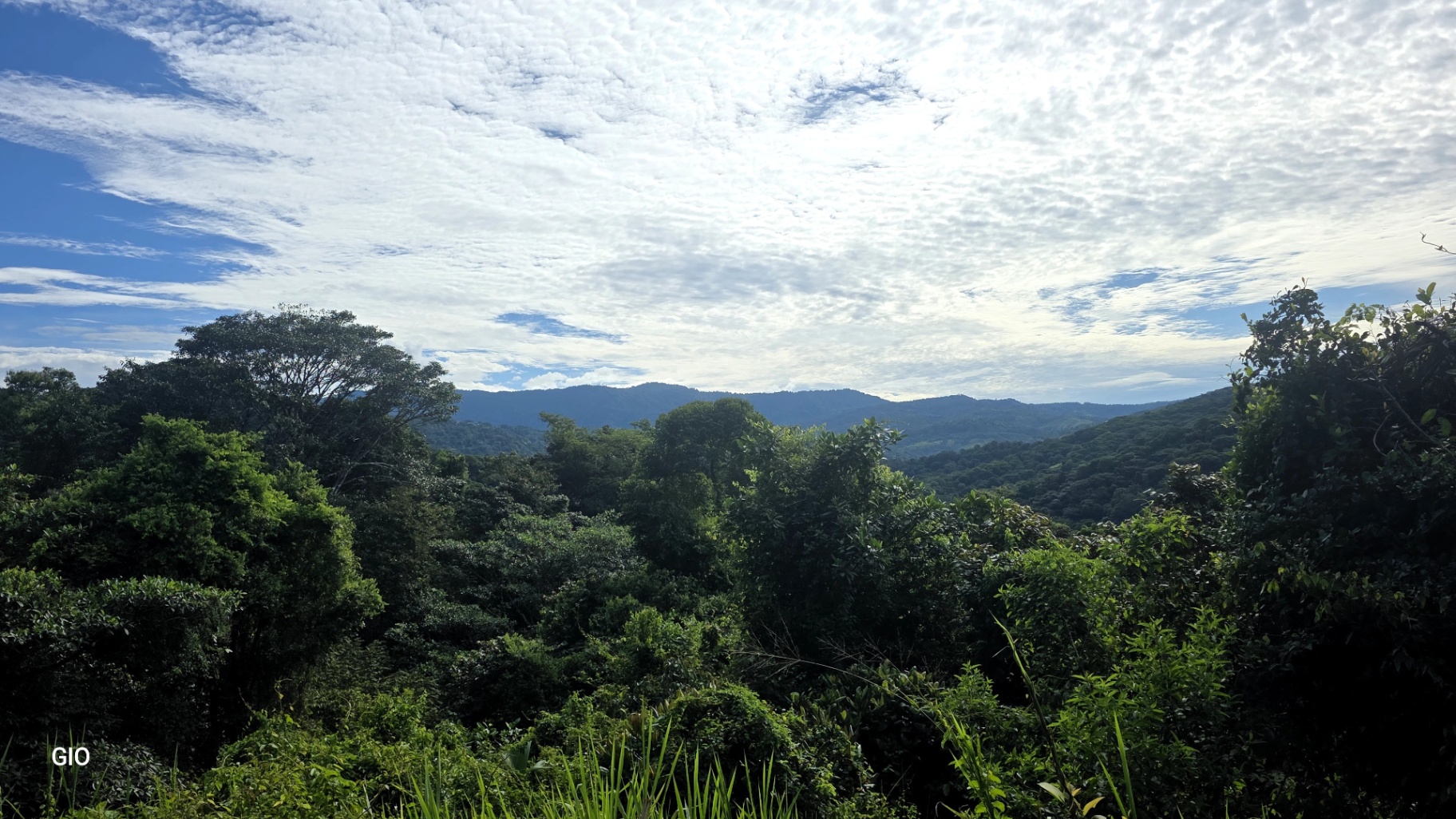 Prime 4.4-Acre Property Near the Pacific Coast – Endless Potential Awaits