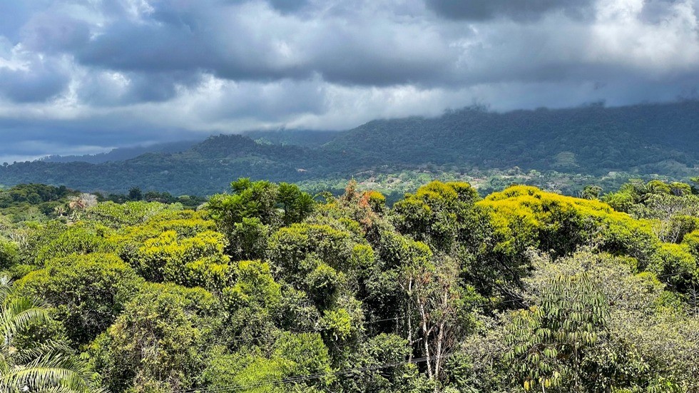 🌴 Whitewater Ocean-View Ridge Lot in Ojochal – Your Dream Life Awaits! 🌊✨