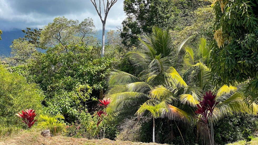 🌴 Whitewater Ocean-View Ridge Lot in Ojochal – Your Dream Life Awaits! 🌊✨