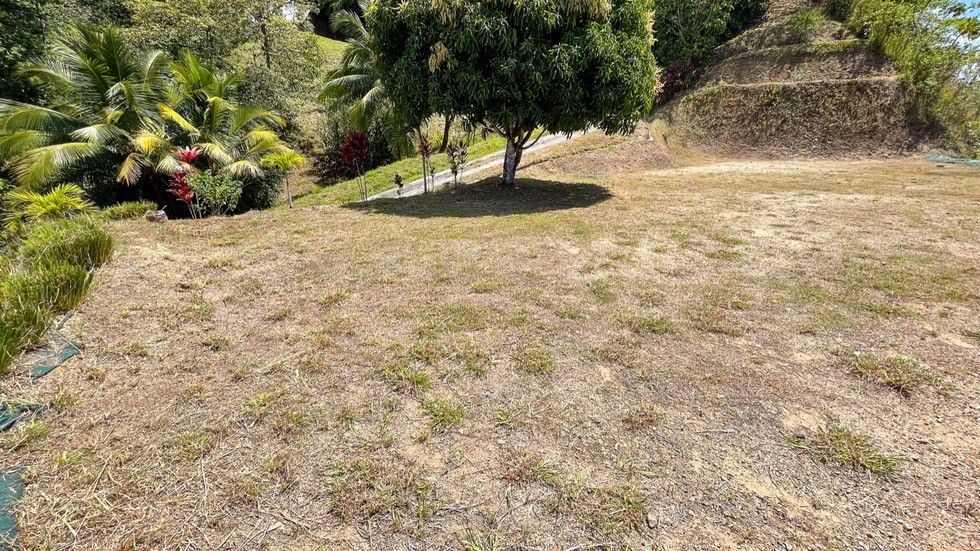 🌴 Whitewater Ocean-View Ridge Lot in Ojochal – Your Dream Life Awaits! 🌊✨