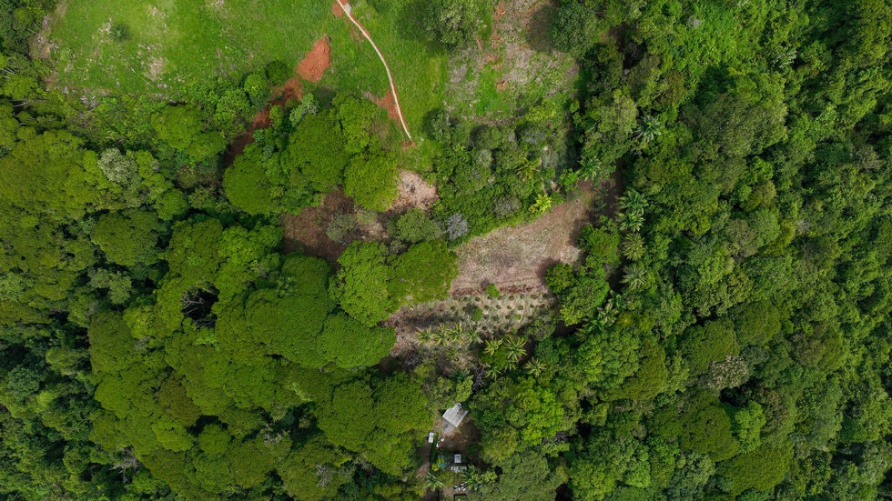 🌅 Front-Row Panoramic Sunset Ocean View Estate in San Martín