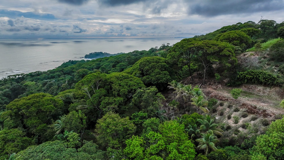 🌅 Front-Row Panoramic Sunset Ocean View Estate in San Martín