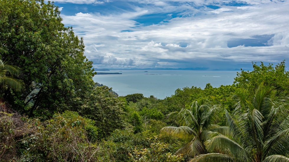 🌅 Front-Row Panoramic Sunset Ocean View Estate in San Martín