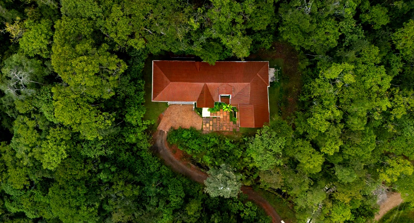 🌺 Aves del Paraíso – A Private Nature Sanctuary in Pérez Zeledón, Costa Rica 🦜