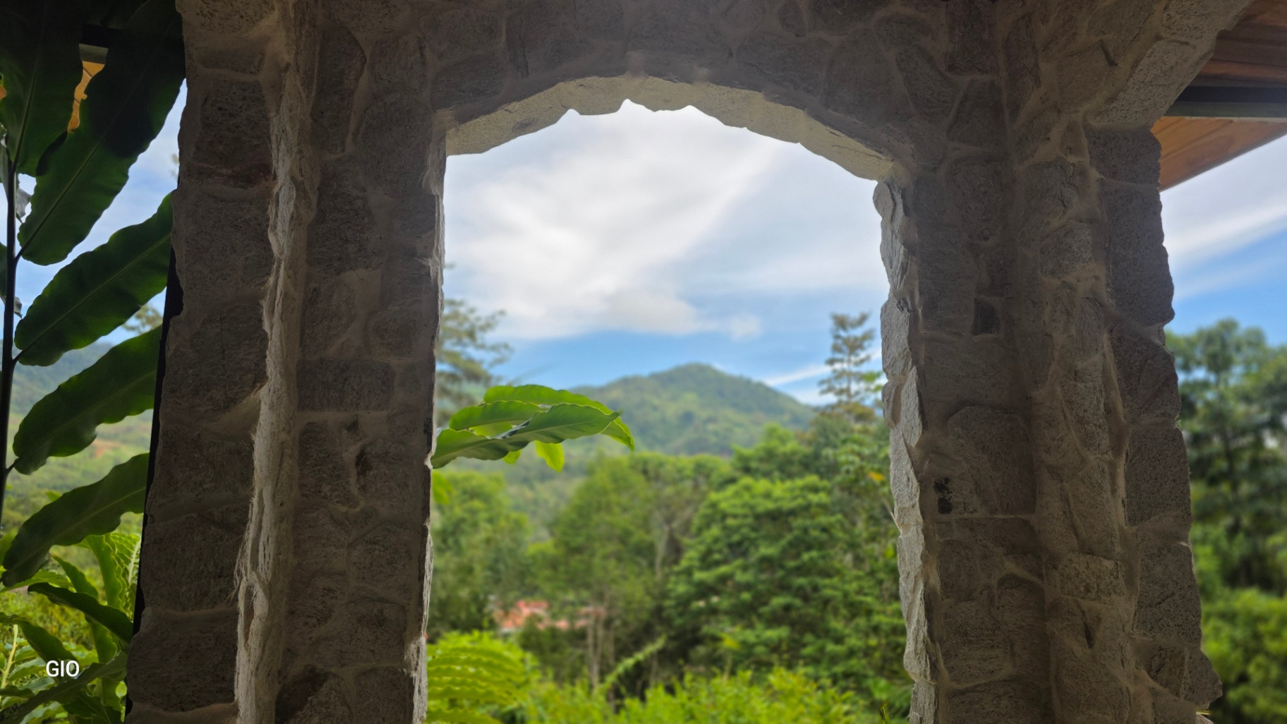 🌺 Aves del Paraíso – A Private Nature Sanctuary in Pérez Zeledón, Costa Rica 🦜