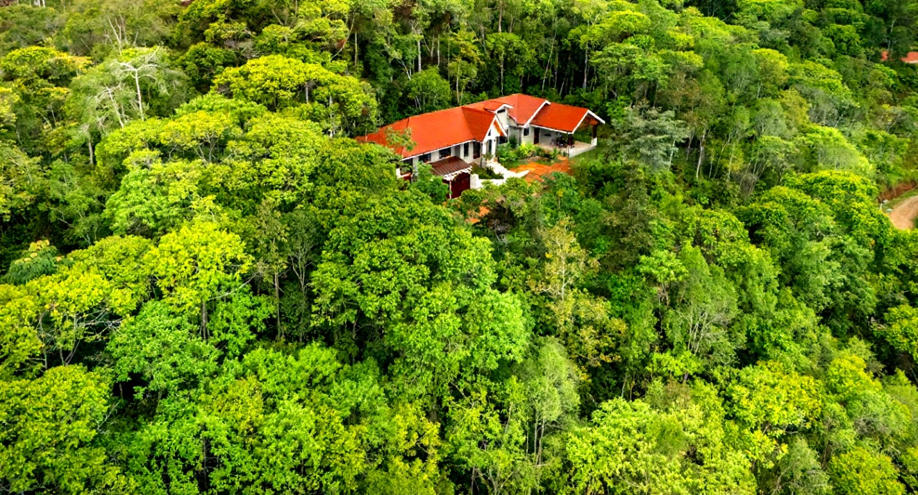 🌺 Aves del Paraíso – A Private Nature Sanctuary in Pérez Zeledón, Costa Rica 🦜