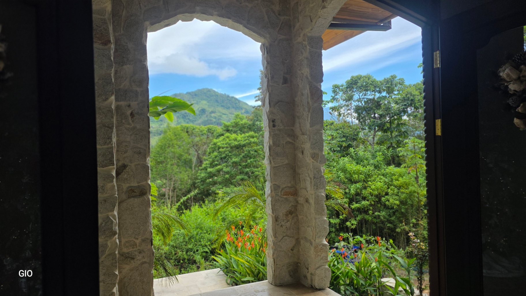🌺 Aves del Paraíso – A Private Nature Sanctuary in Pérez Zeledón, Costa Rica 🦜