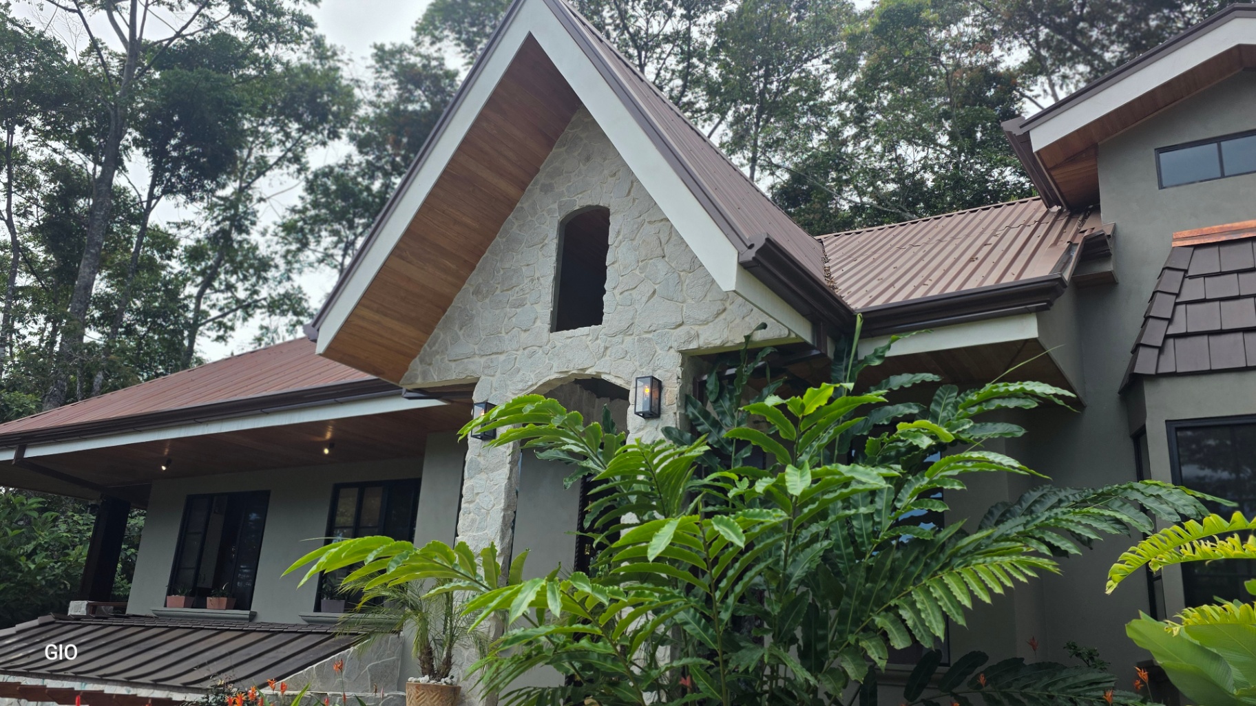 🌺 Aves del Paraíso – A Private Nature Sanctuary in Pérez Zeledón, Costa Rica 🦜