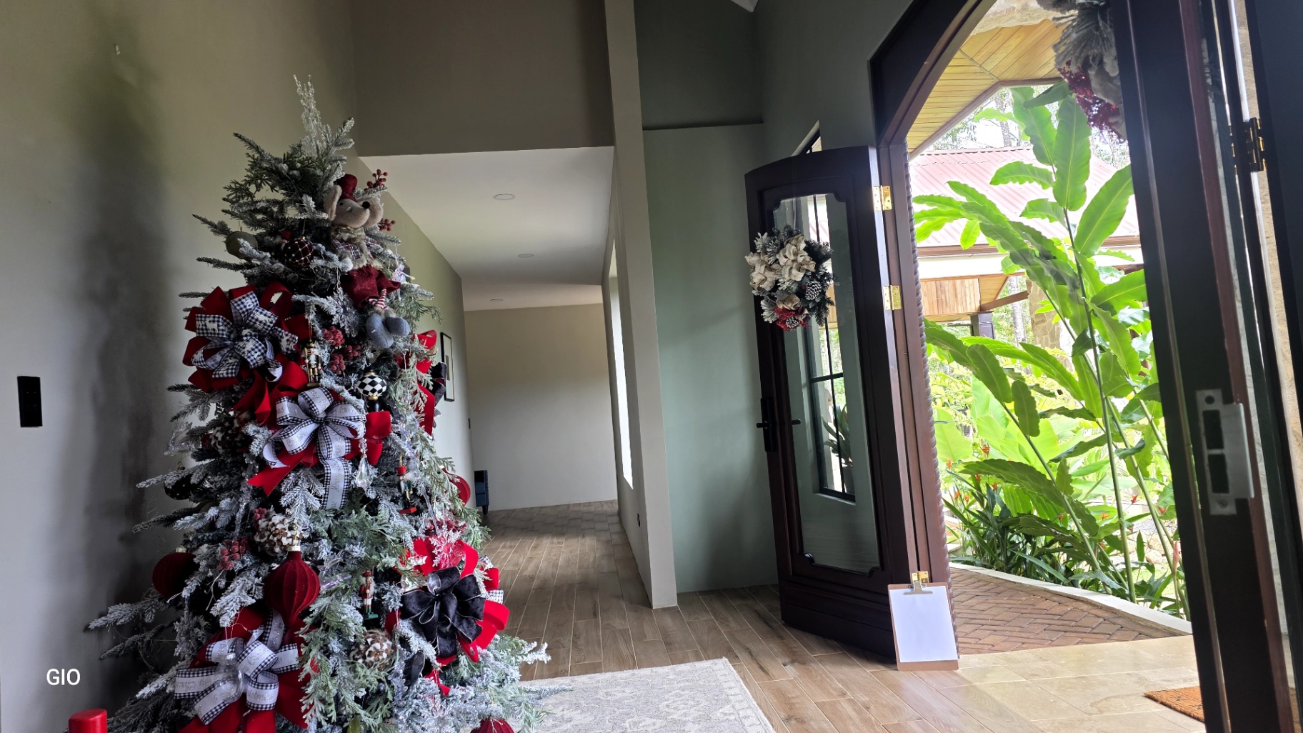 🌺 Aves del Paraíso – A Private Nature Sanctuary in Pérez Zeledón, Costa Rica 🦜