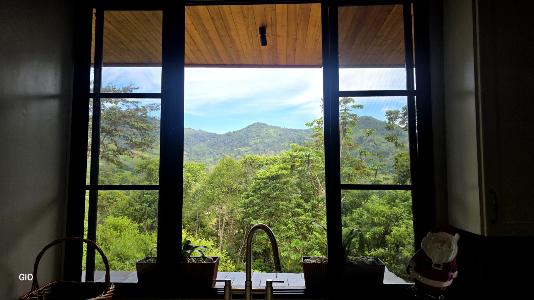 🌺 Aves del Paraíso – A Private Nature Sanctuary in Pérez Zeledón, Costa Rica 🦜