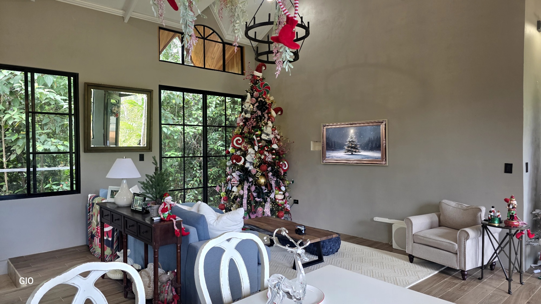 🌺 Aves del Paraíso – A Private Nature Sanctuary in Pérez Zeledón, Costa Rica 🦜