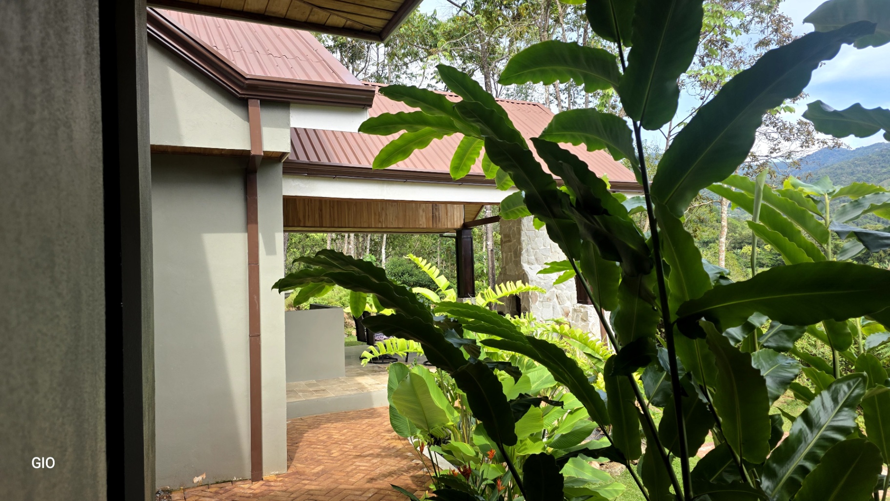 🌺 Aves del Paraíso – A Private Nature Sanctuary in Pérez Zeledón, Costa Rica 🦜