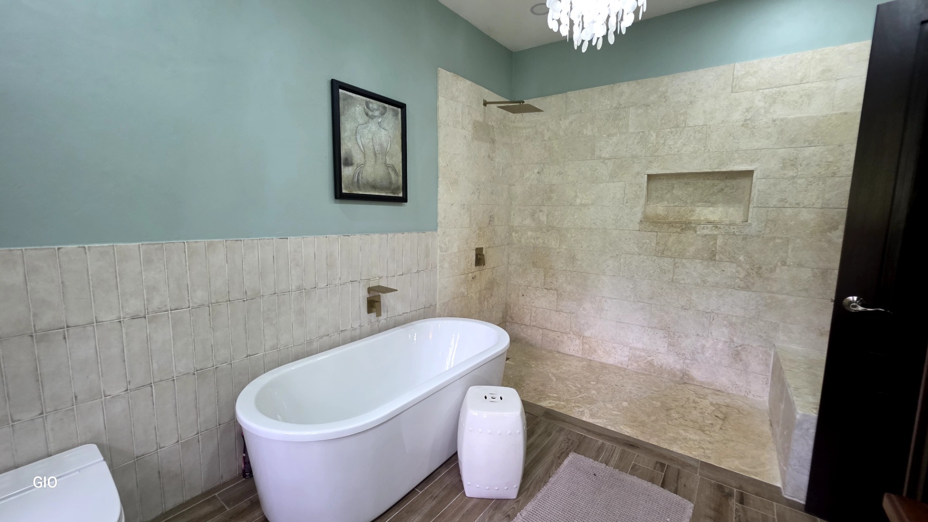 🌺 Aves del Paraíso – A Private Nature Sanctuary in Pérez Zeledón, Costa Rica 🦜