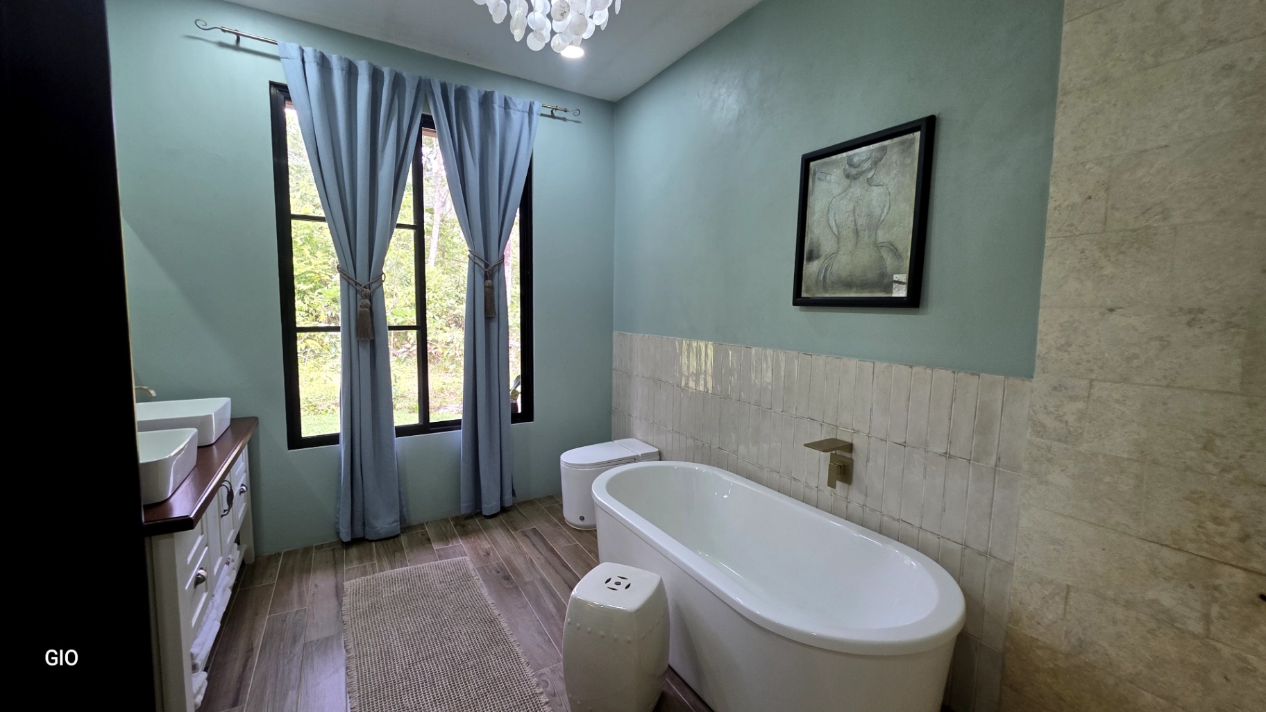 🌺 Aves del Paraíso – A Private Nature Sanctuary in Pérez Zeledón, Costa Rica 🦜