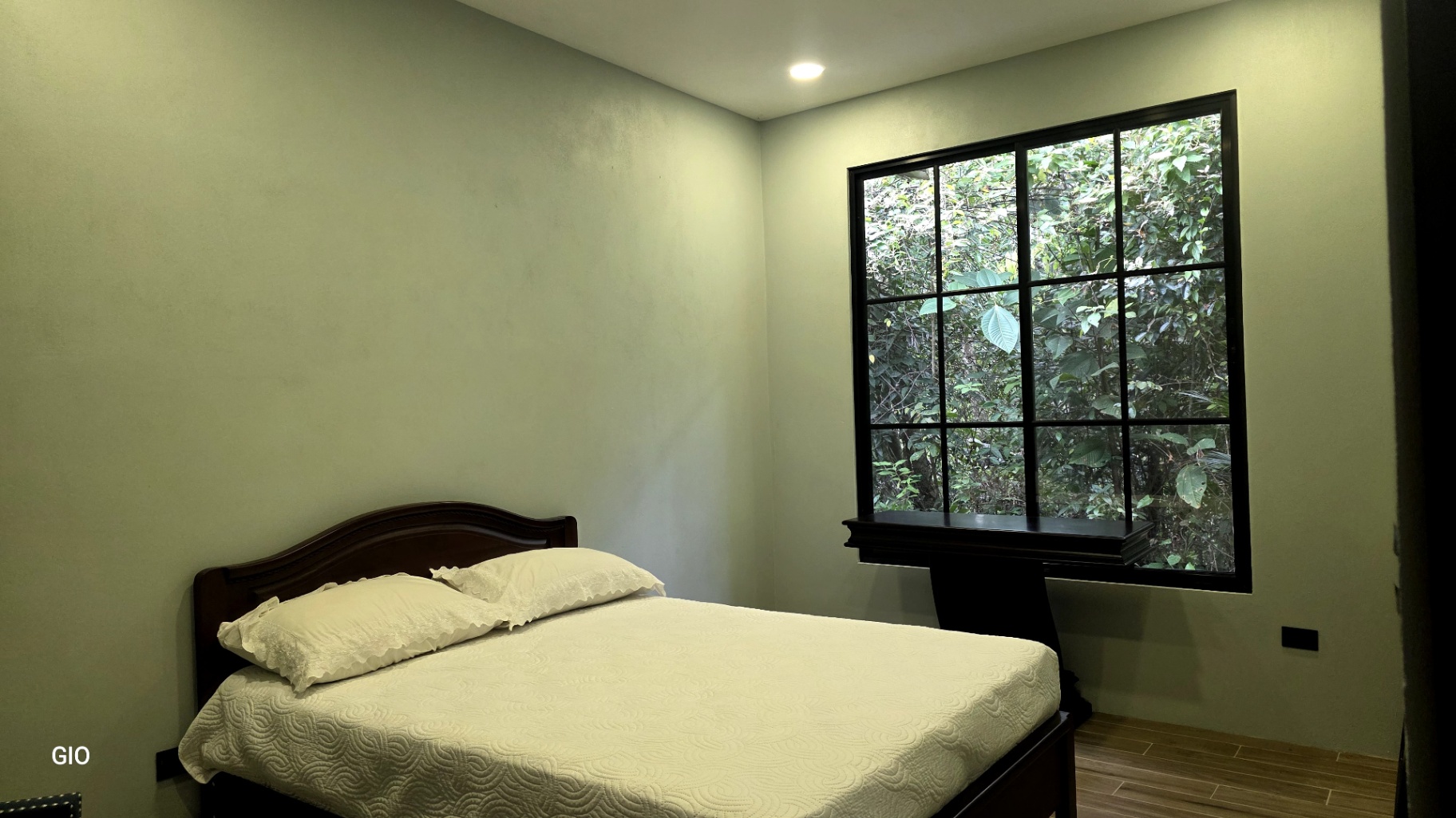 🌺 Aves del Paraíso – A Private Nature Sanctuary in Pérez Zeledón, Costa Rica 🦜