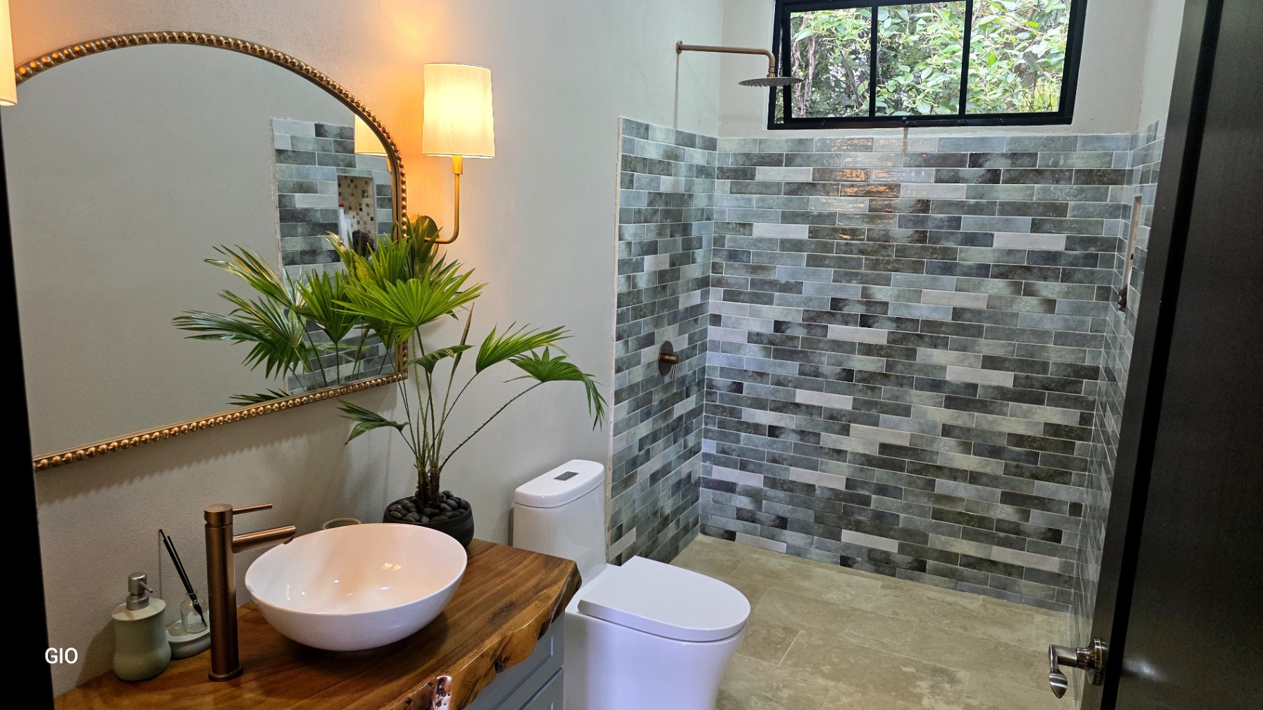 🌺 Aves del Paraíso – A Private Nature Sanctuary in Pérez Zeledón, Costa Rica 🦜