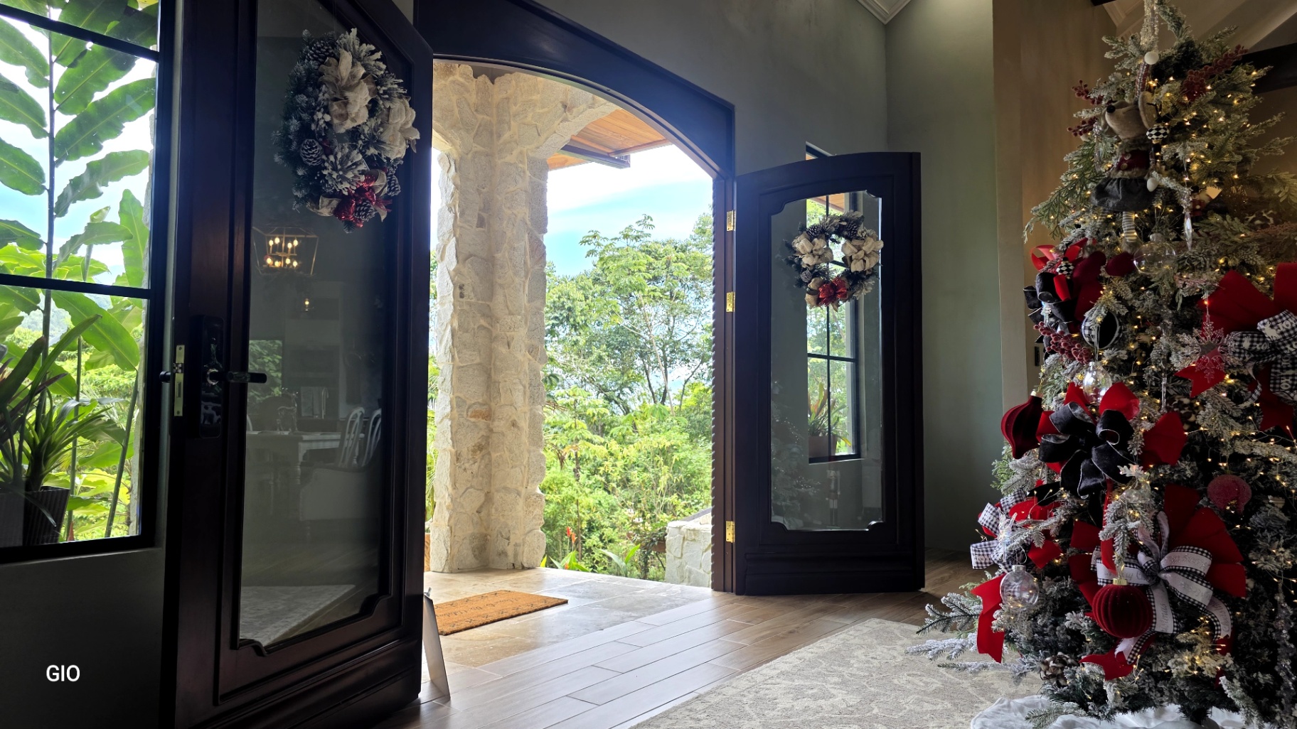 🌺 Aves del Paraíso – A Private Nature Sanctuary in Pérez Zeledón, Costa Rica 🦜