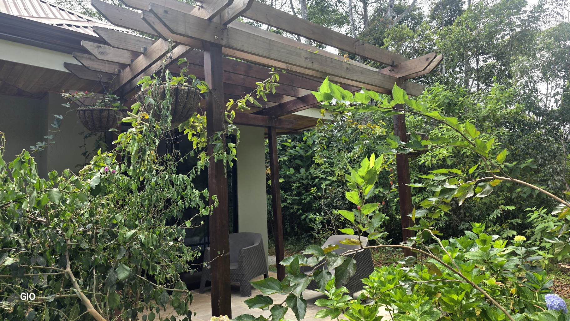 🌺 Aves del Paraíso – A Private Nature Sanctuary in Pérez Zeledón, Costa Rica 🦜