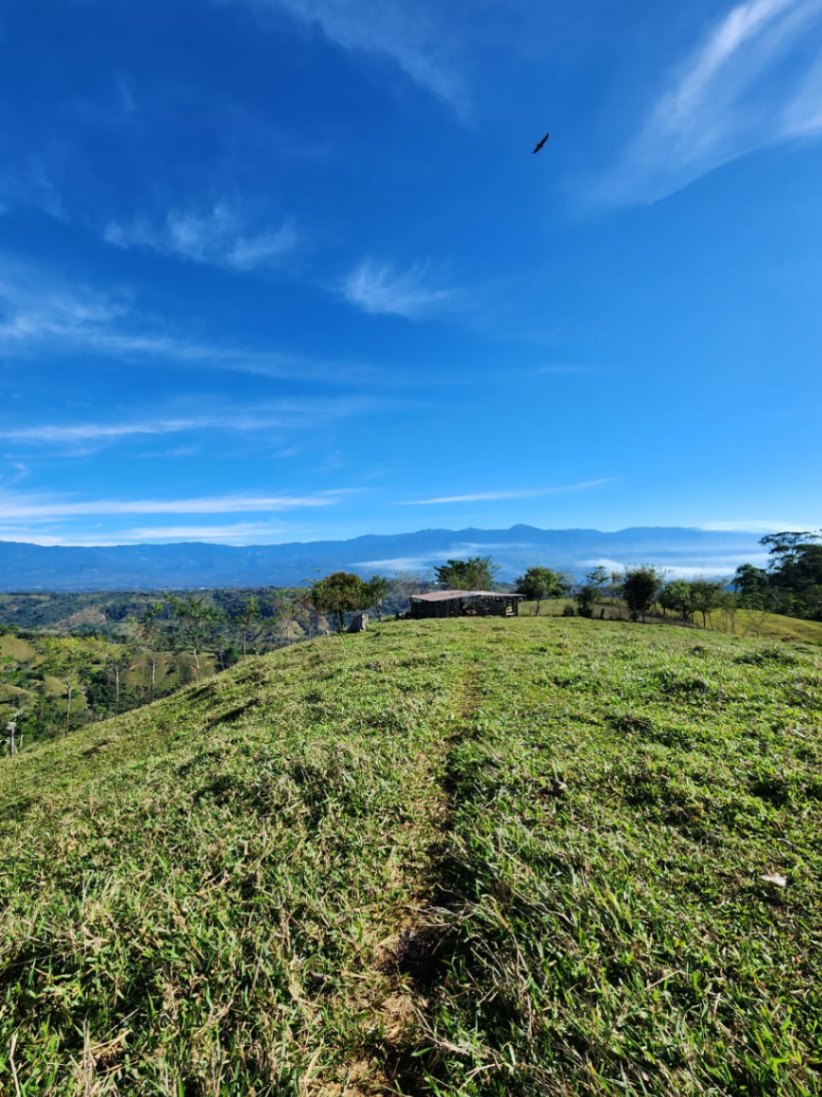🌿 36-Acre Mountain Property for Sale – San Agustín, Pérez Zeledón 🌄