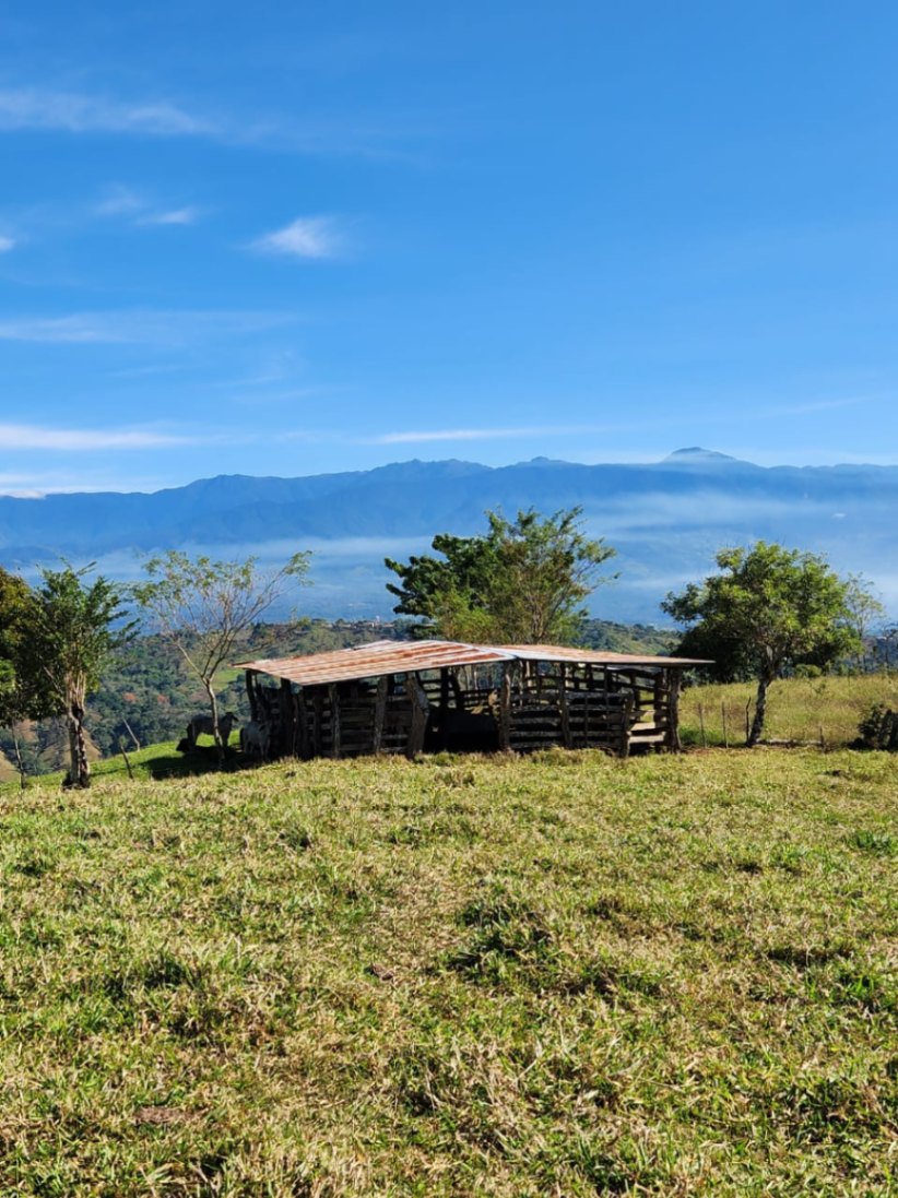 🌿 36-Acre Mountain Property for Sale – San Agustín, Pérez Zeledón 🌄