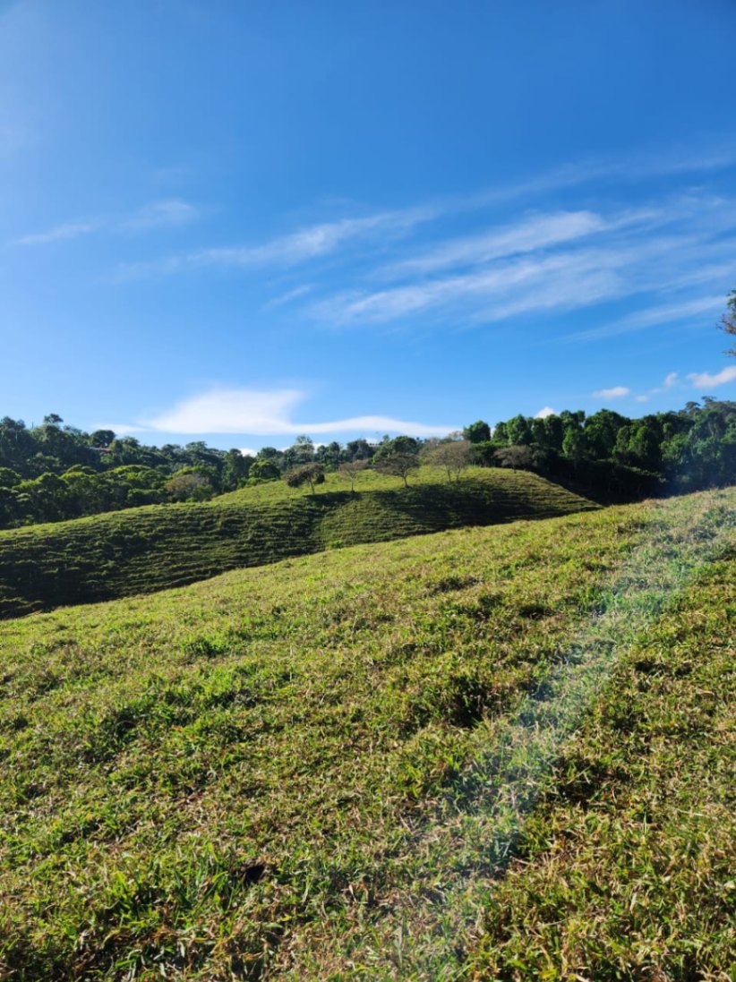 🌿 36-Acre Mountain Property for Sale – San Agustín, Pérez Zeledón 🌄