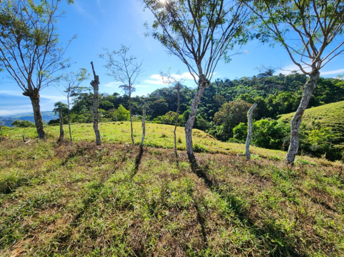 🌿 36-Acre Mountain Property for Sale – San Agustín, Pérez Zeledón 🌄