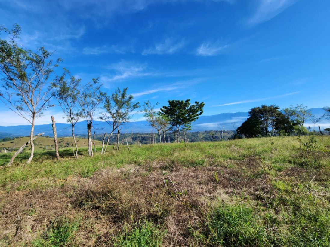 🌿 36-Acre Mountain Property for Sale – San Agustín, Pérez Zeledón 🌄