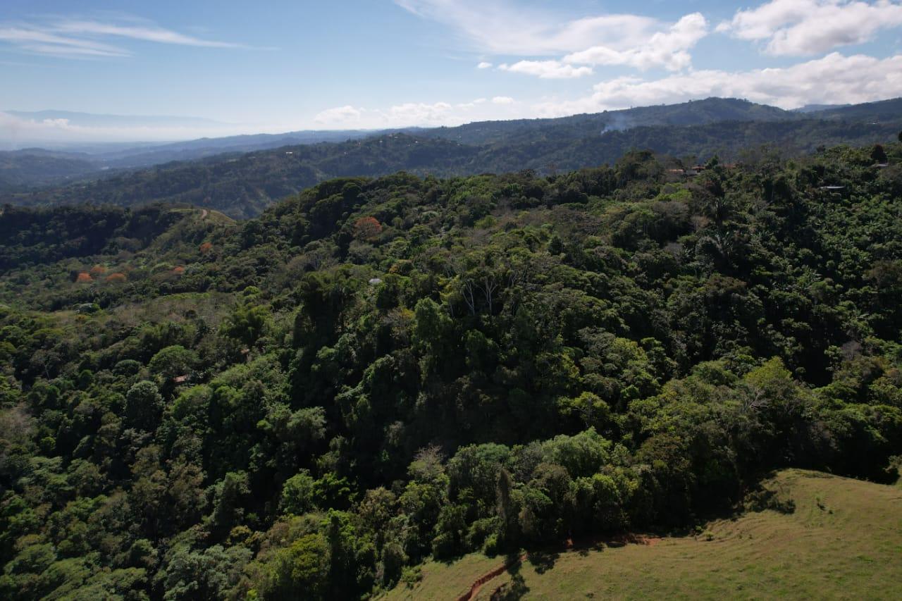 🌿 36-Acre Mountain Property for Sale – San Agustín, Pérez Zeledón 🌄