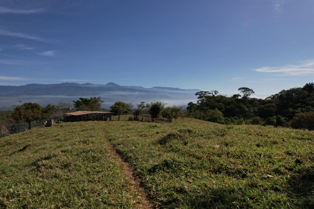 🌿 36-Acre Mountain Property for Sale – San Agustín, Pérez Zeledón 🌄