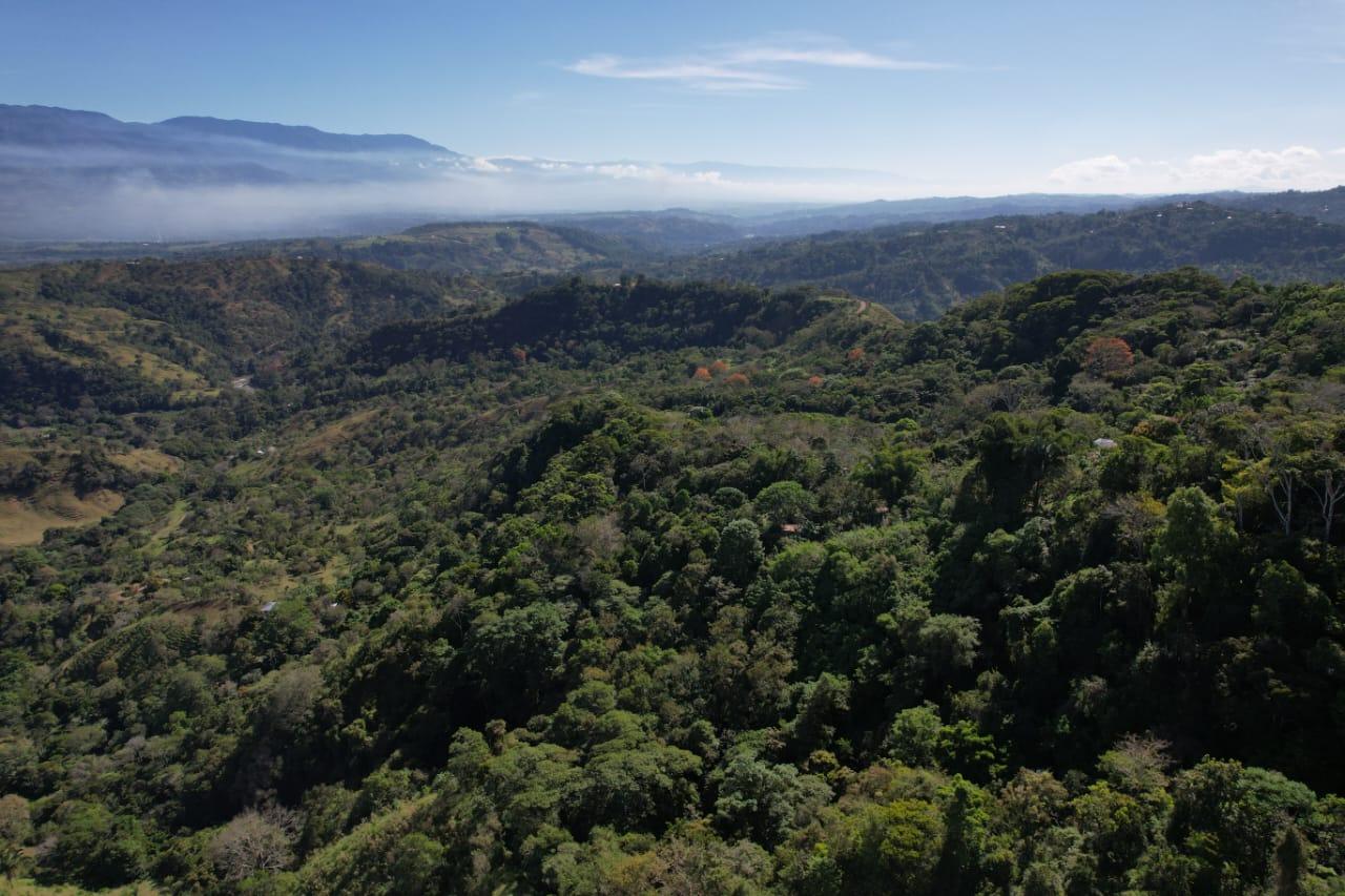 🌿 36-Acre Mountain Property for Sale – San Agustín, Pérez Zeledón 🌄