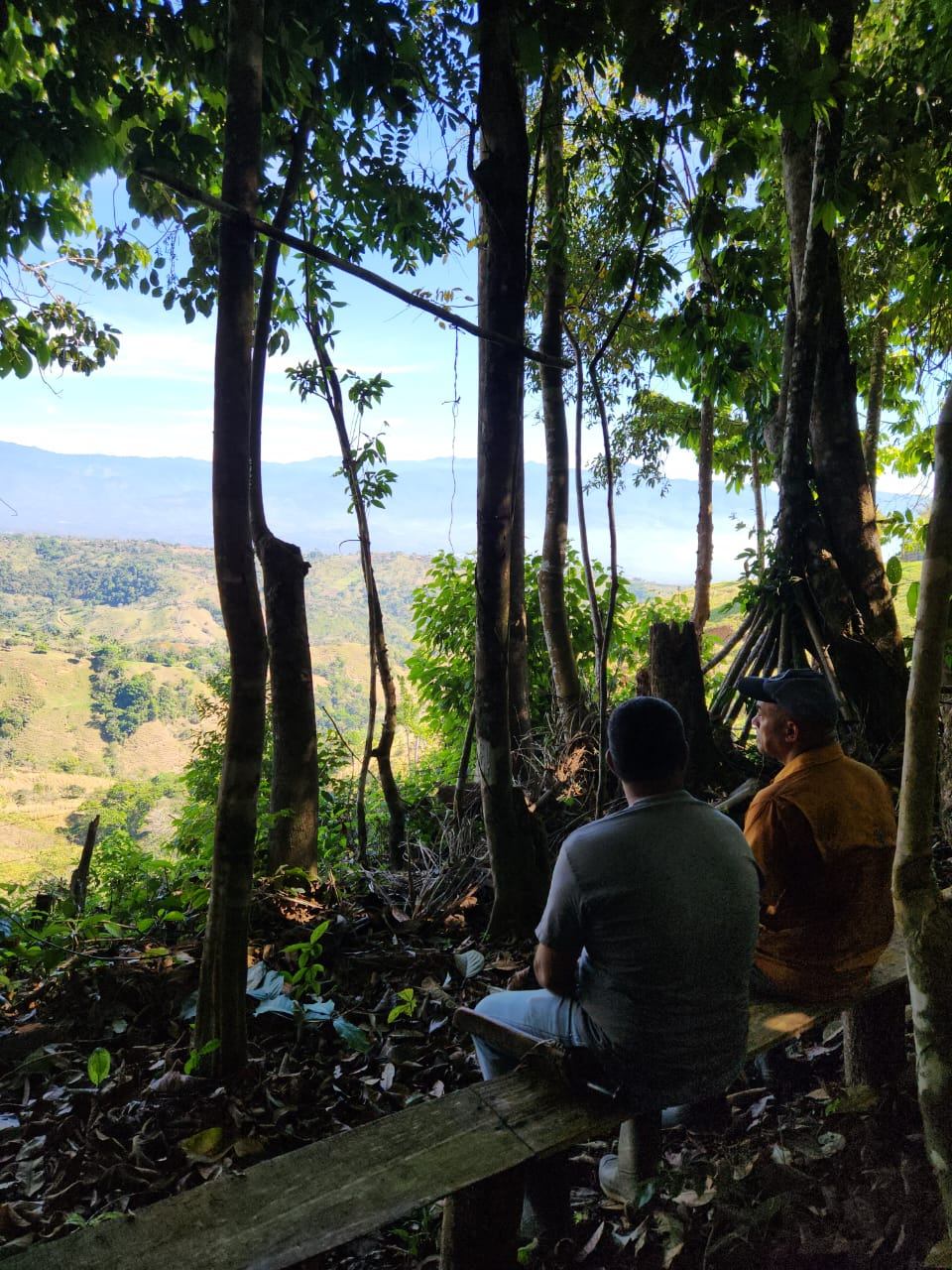 🌿 36-Acre Mountain Property for Sale – San Agustín, Pérez Zeledón 🌄