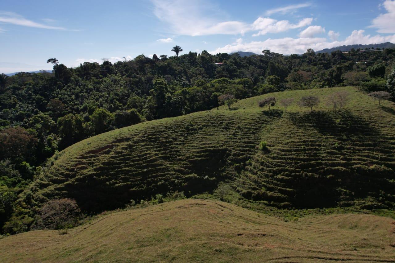 🌿 36-Acre Mountain Property for Sale – San Agustín, Pérez Zeledón 🌄