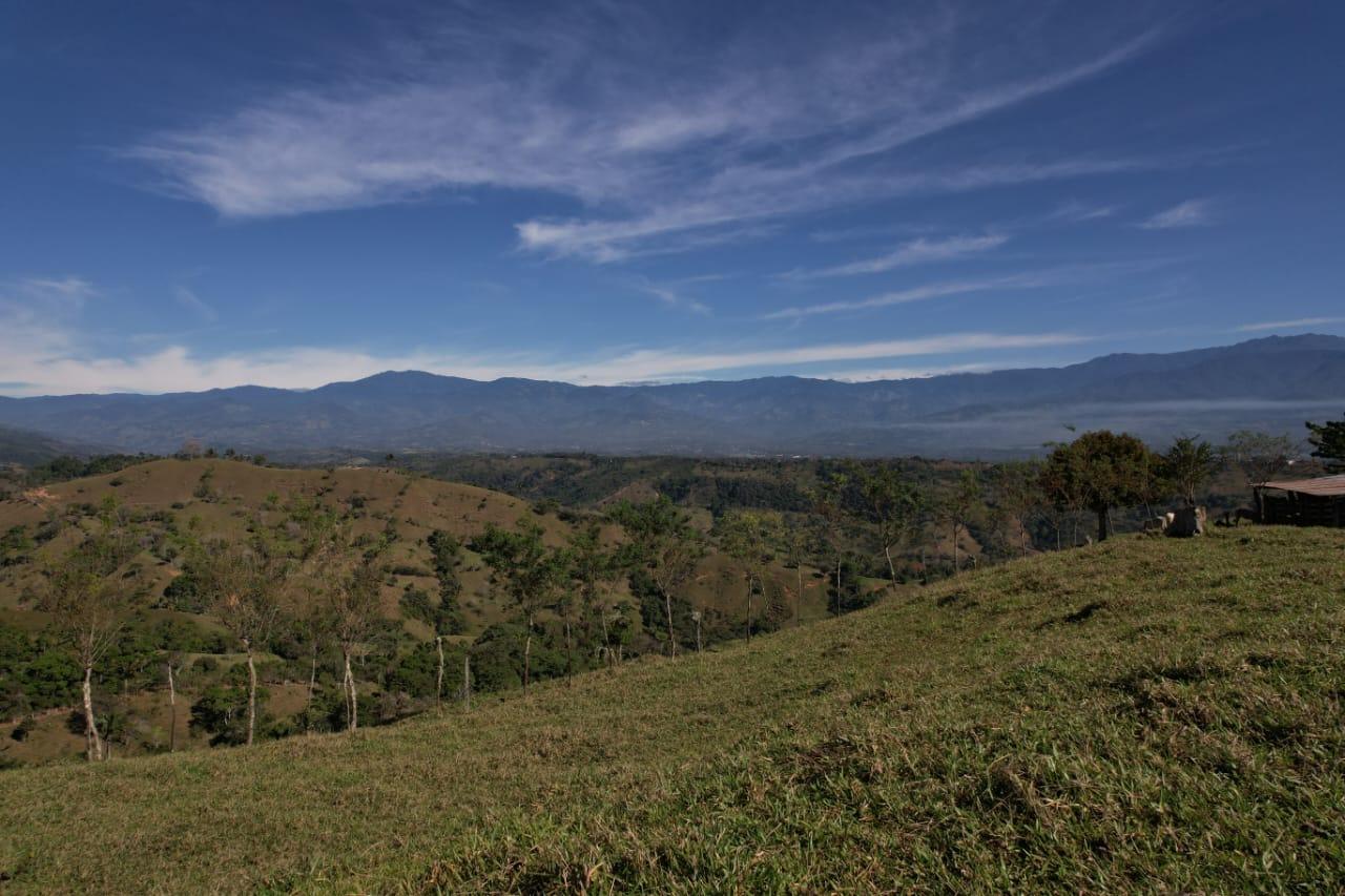 🌿 36-Acre Mountain Property for Sale – San Agustín, Pérez Zeledón 🌄