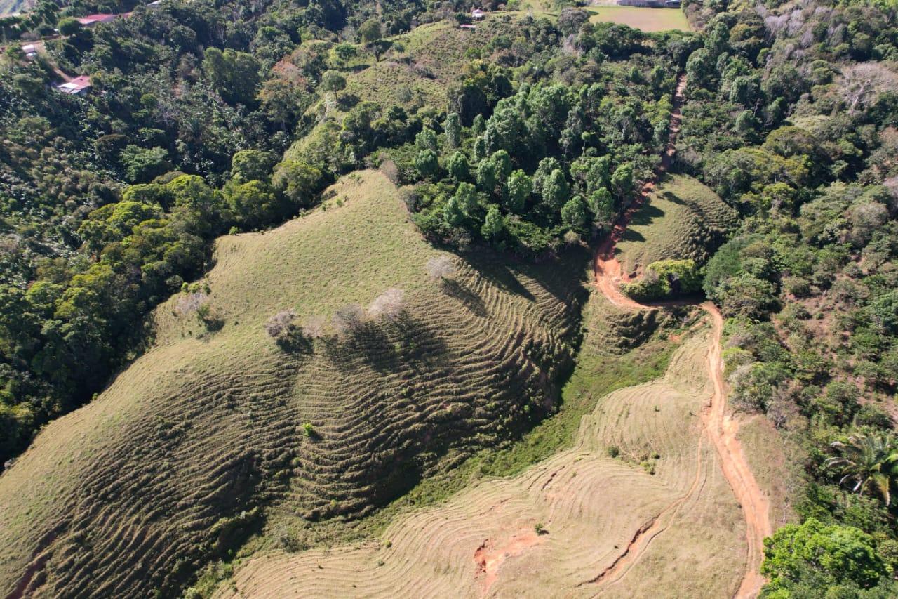 🌿 36-Acre Mountain Property for Sale – San Agustín, Pérez Zeledón 🌄