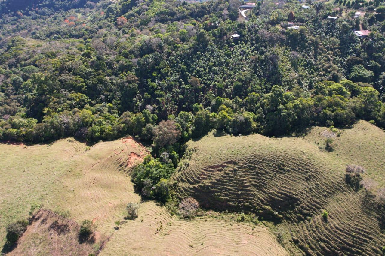 🌿 36-Acre Mountain Property for Sale – San Agustín, Pérez Zeledón 🌄