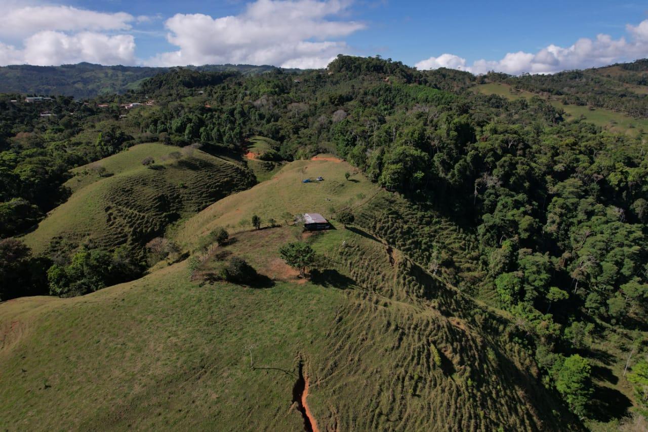 🌿 36-Acre Mountain Property for Sale – San Agustín, Pérez Zeledón 🌄