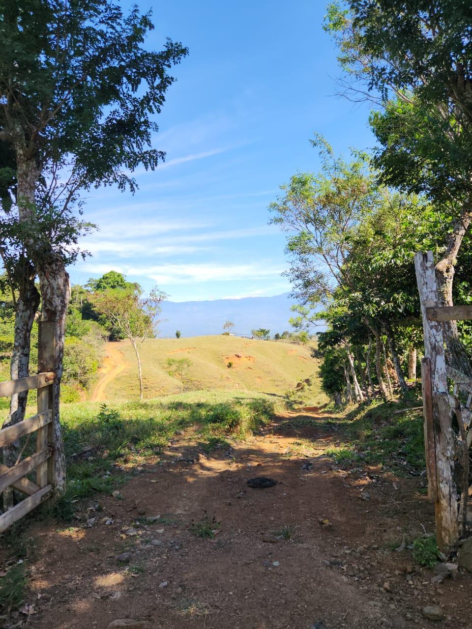 🌿 36-Acre Mountain Property for Sale – San Agustín, Pérez Zeledón 🌄