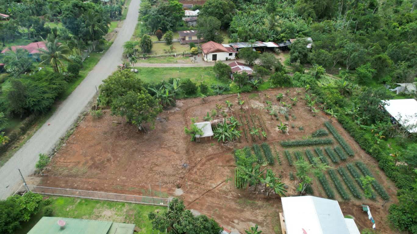🏡 Land for Sale – Peaceful Living in Pérez Zeledón, Costa Rica 🌿
