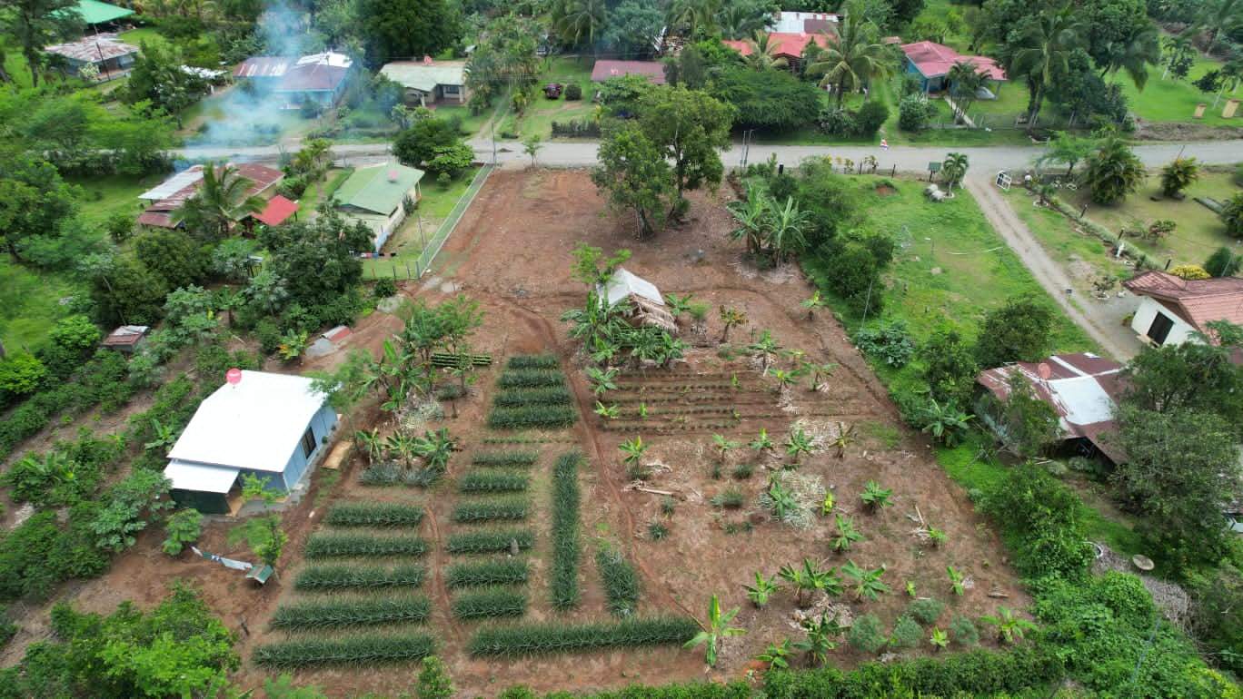 🏡 Land for Sale – Peaceful Living in Pérez Zeledón, Costa Rica 🌿