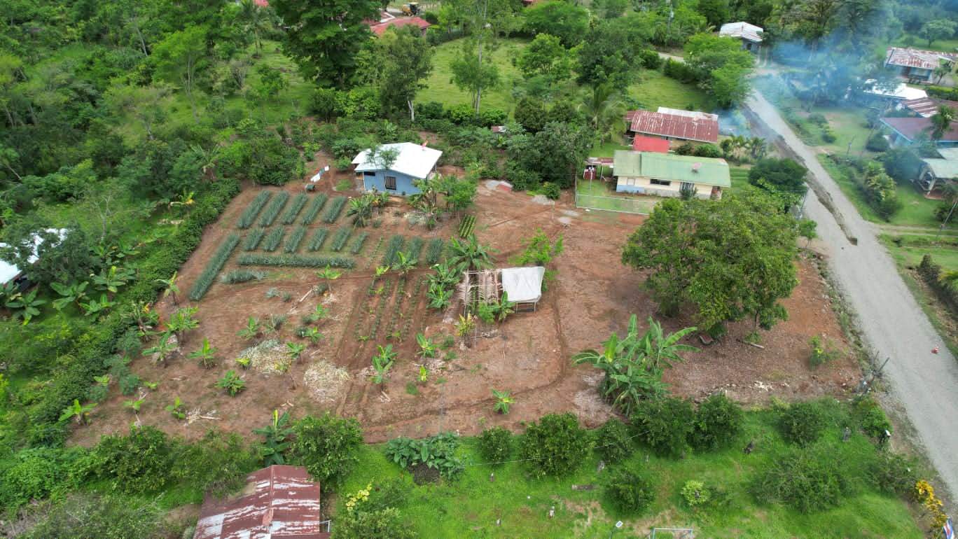 🏡 Land for Sale – Peaceful Living in Pérez Zeledón, Costa Rica 🌿