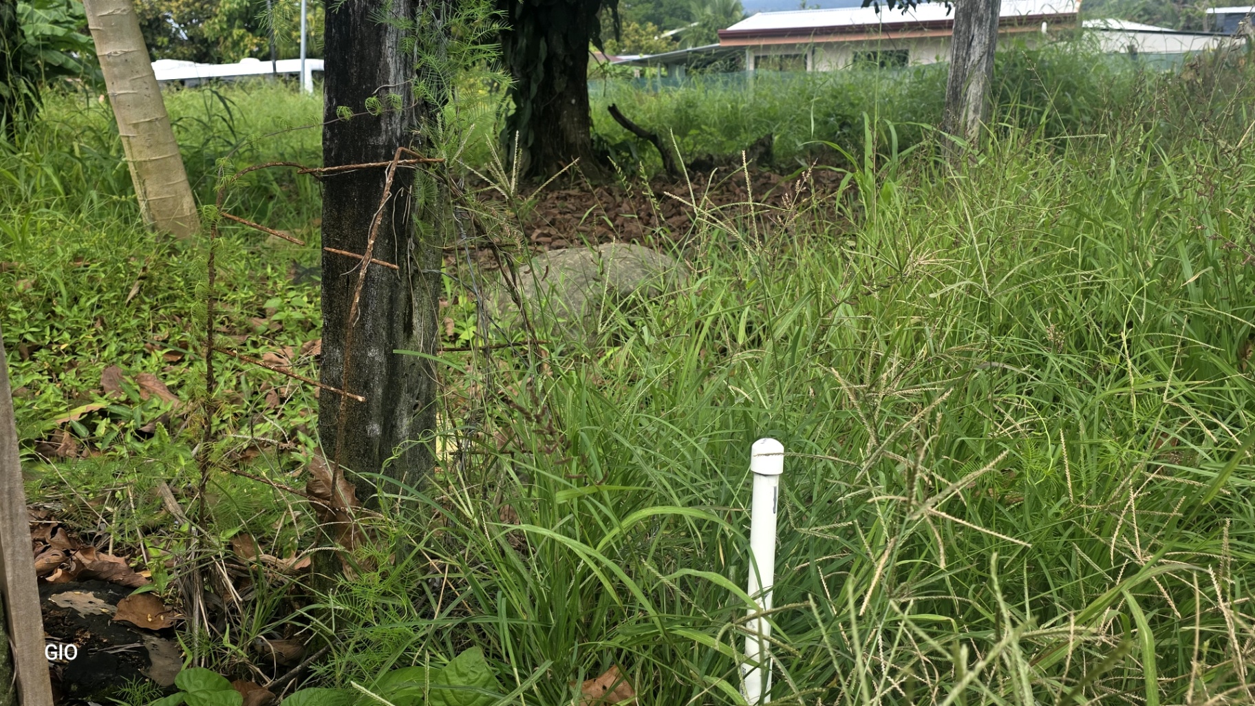 Unique Investment Opportunity in the Heart of Uvita 🌊