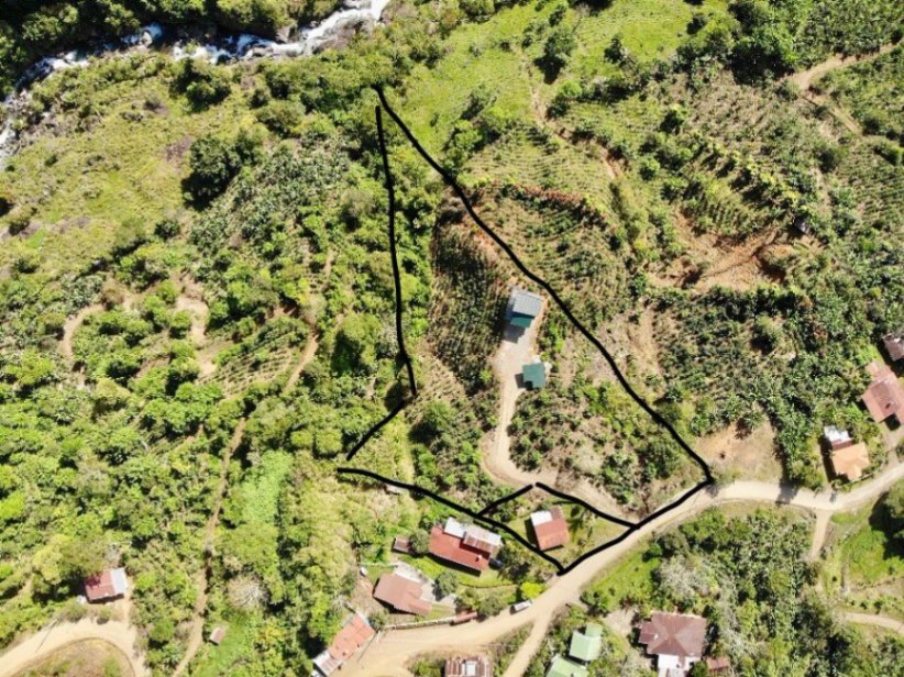 MODERN COUNTRY HOUSE WITH GUEST COTTAGE AMIDST A COFFEE PLANTATION